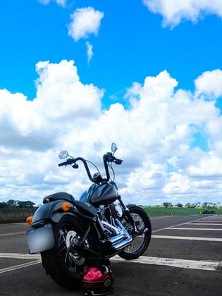 HARLEY-DAVIDSON SOFTAIL BLACKLINE 